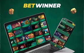 Understanding the BetWinner Privacy Policy Key Insights and Implications